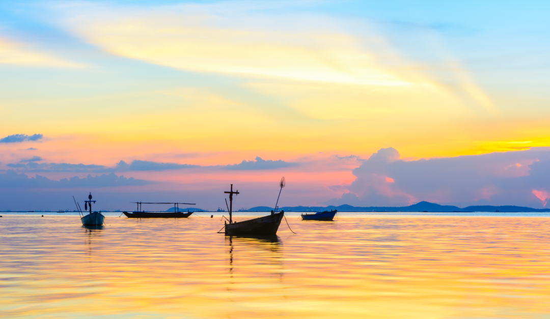 1740435214186004688.png 插图2.png