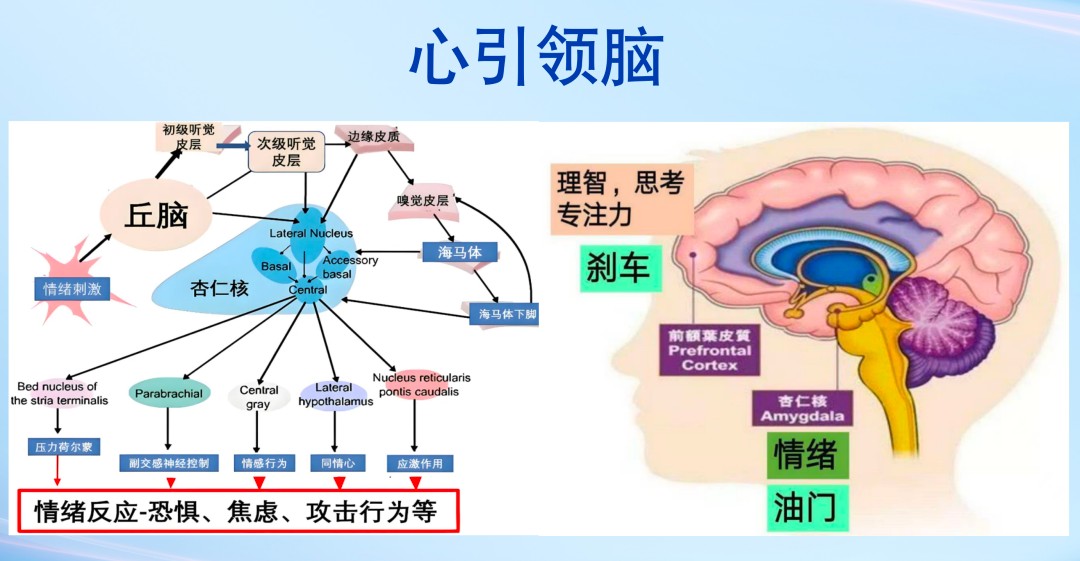 0304插图3.jpg